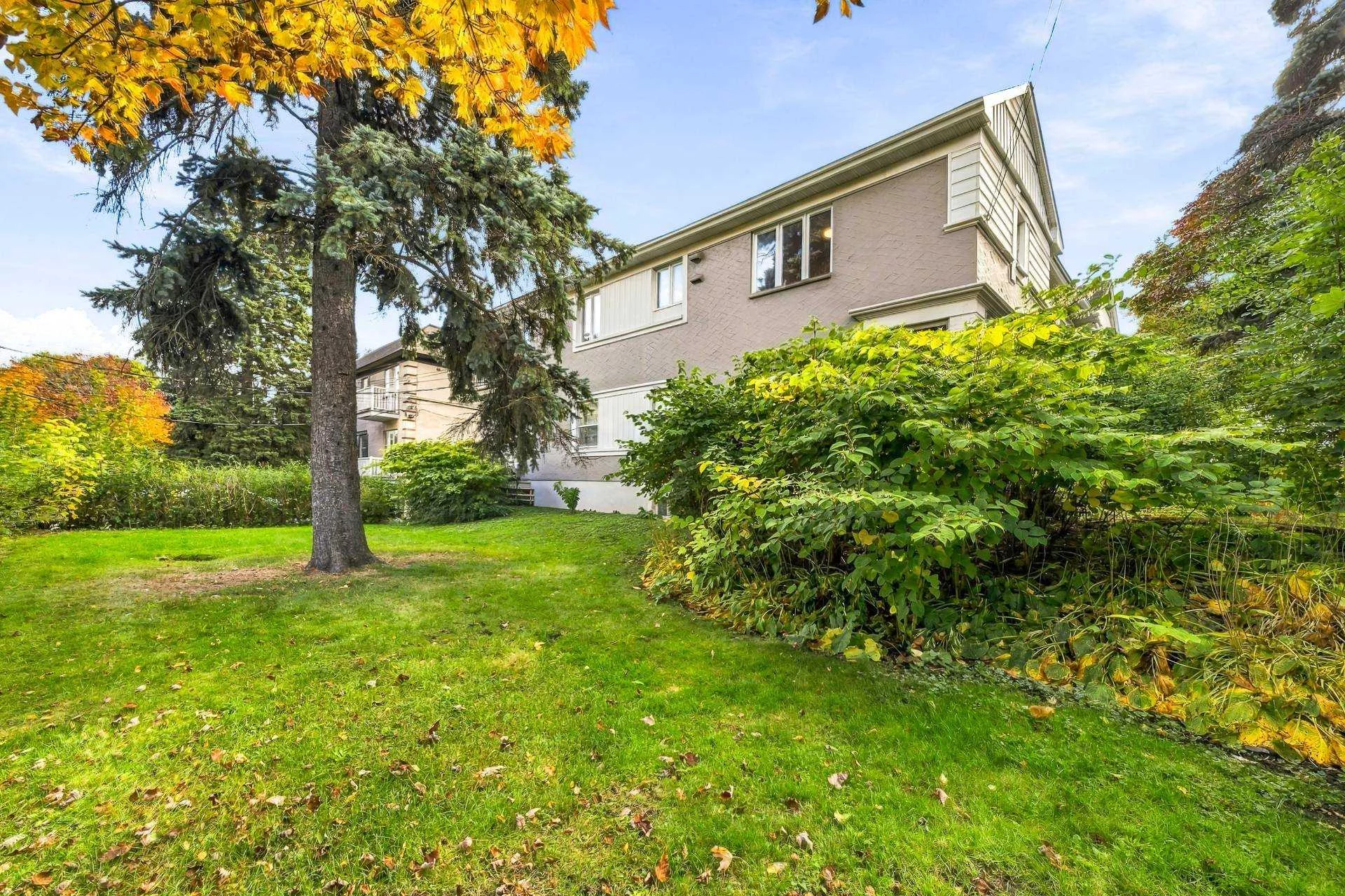 812, Ch. Canora - Photo1
