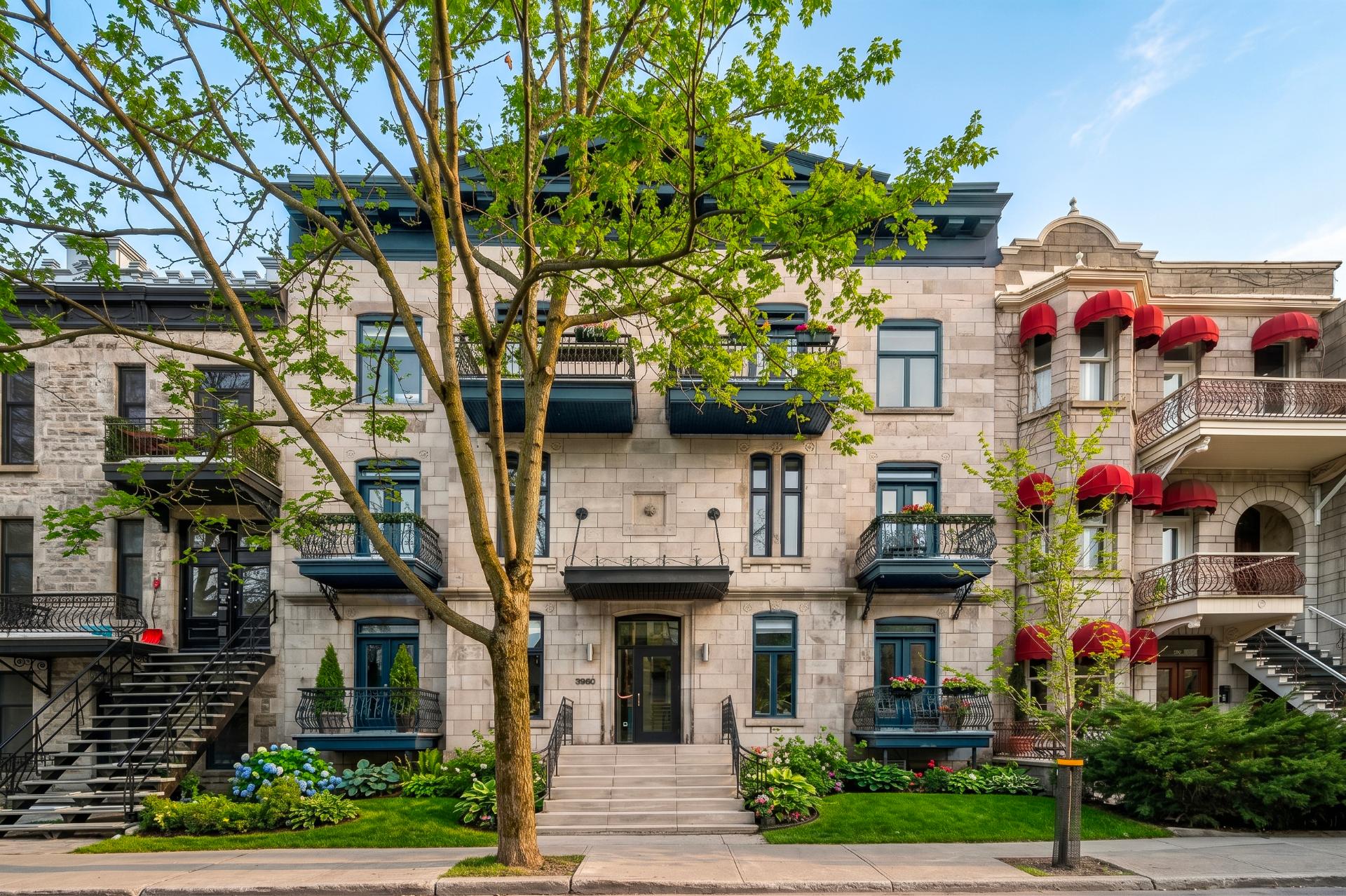 3960, Rue St-Hubert, APP. 5 - Photo1