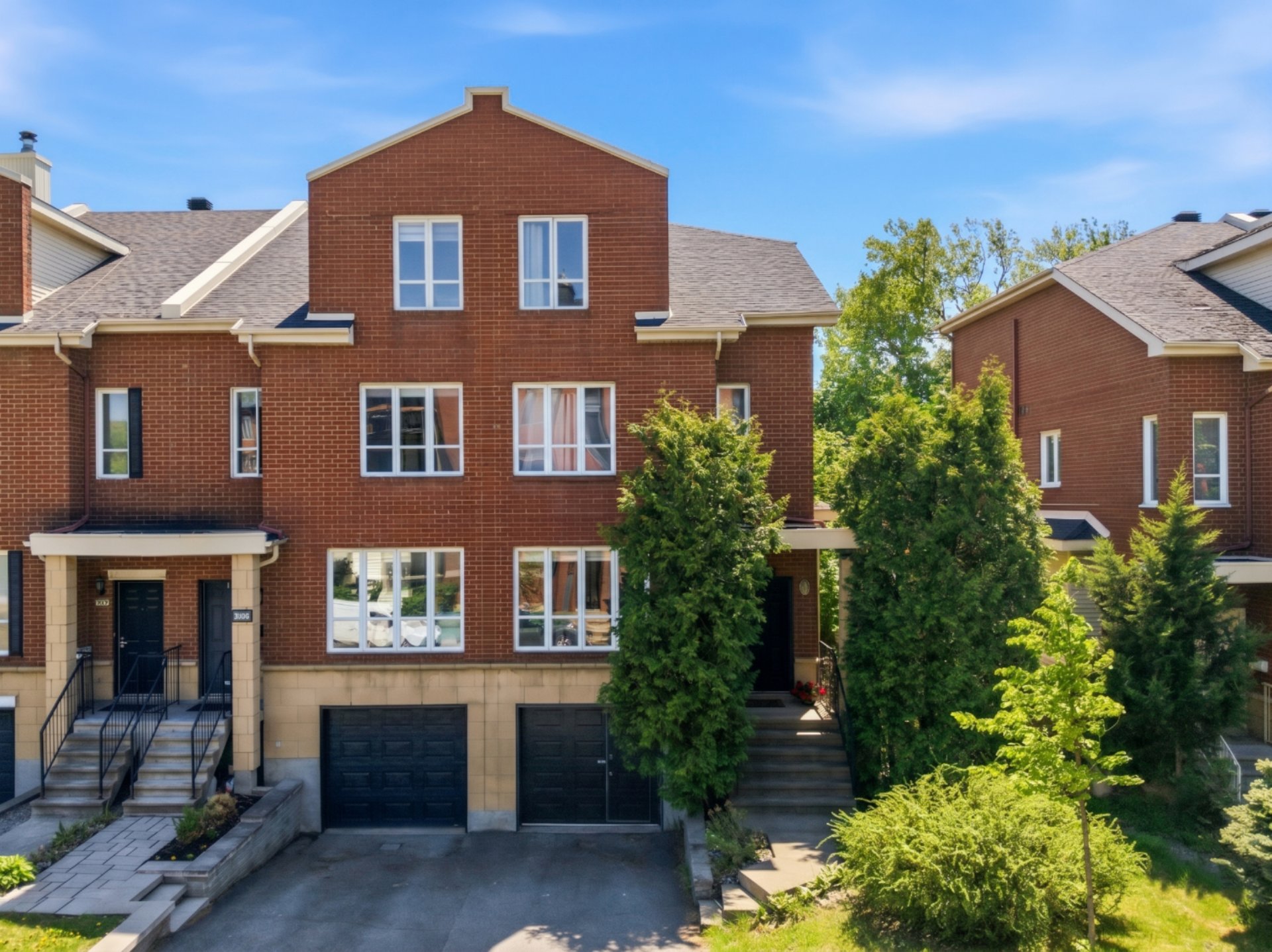 7366, Ch. Canora - Photo1