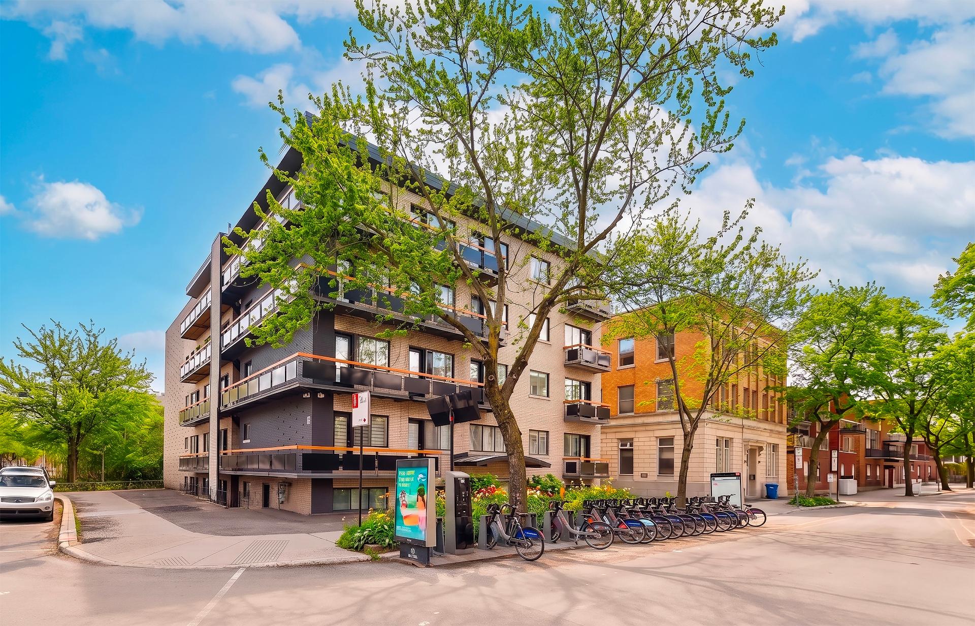 1150, Rue Marie-Anne E. - Photo1